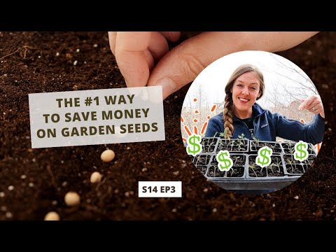 S14 E3: The #1 Way to Save Money on Garden Seeds