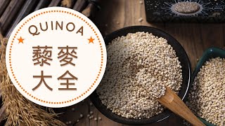 Quinoa 藜麥的營養價值、功效和副作用，藜麦怎麼吃最好