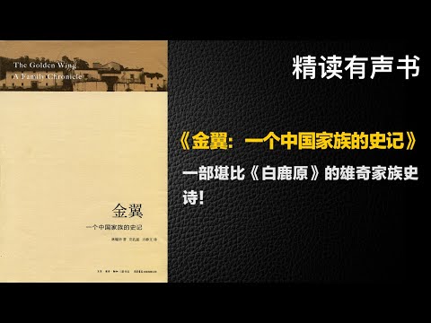 一部堪比《白鹿原》的雄奇家族史诗！ - 精读《金翼：一个中国家族的史记》