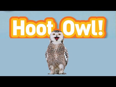 hoot ,owl nonfiction read aloud by Laura Marsh National Geographic Kids Read Aloud