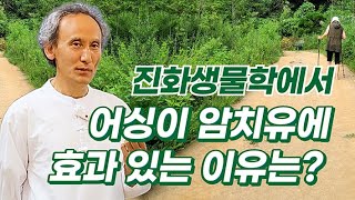 맨발걷기가 활성화된 교감신경을 안정시켜 암치유에 도움 되는 이유는?