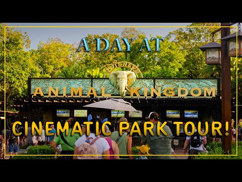 Animal Kingdom - Full Day!