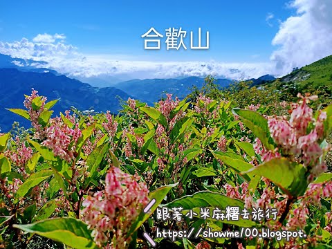 【Taiwan。Hehuan Mountain】秋天合歡山的虎杖花好美！還有雲海、晚霞、無敵山景~石門山篇|小米麻糬帶路Showme Go!