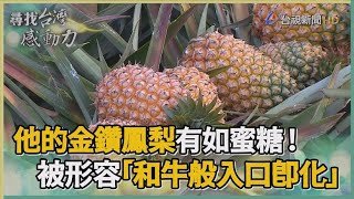 尋找台灣感動力- 台灣之光 蜜糖般的金鑽鳳梨