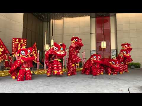 廣州瑰麗酒店隆重開幕＠香港柔功門夏國璋龍獅團＠Ha Kwok Cheung Lion dance