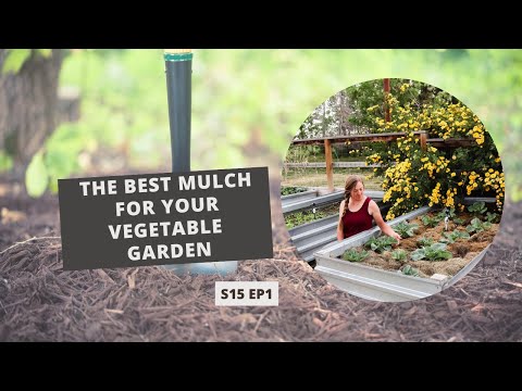 S15 E1: Mulching Magic: Unlocking the Secrets to a Thriving Garden