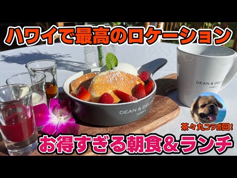 【最高！】抜群のロケーションでお得すぎる朝食＆美味しすぎるランチを食べるぞ！！の回