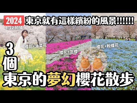 東京櫻花2024🌸3個東京目前仍盛開的繽紛賞櫻地！最適合愛拍照的你！油菜花、芝櫻、粉蝶花與櫻花共譜美妙的春季樂章｜國營昭和紀念公園 荒川赤羽櫻堤綠地 舍人公園｜東京旅遊 4K VLOG