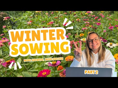 Winter Sowing Q&A Part 2: More Tips for Gardening Success! | The Southern Daisy