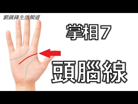 掌相 7 掌紋 頭腦線 (開啟字幕) ｜掌紋入門 掌丘 生命線 感情線 命運線 成功線 | 劉鎮鋒生活頻道