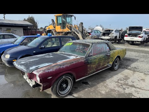 Project Car: 1965 Ford Mustang for Sale at Junkyard