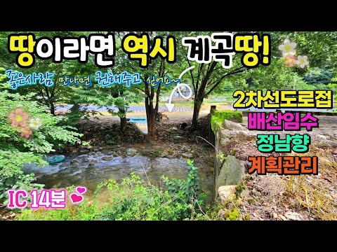 💎계곡땅매매! 2차선 도로접한 남향의 배산임수 계획관리 넓은토지매매 계획관리다용도 투자가치상승예상!  [ 043-644-0044 ] 급매물 제천땅집부동산TV