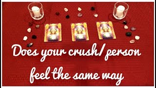 How Does You Crush/Person Feel About You | Pick A Card