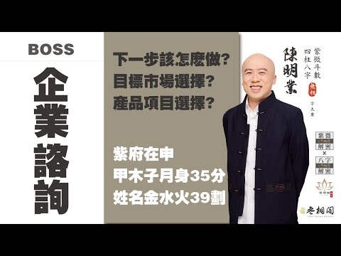 企業選才 | 企業諮商-電器設計業-拓展行不行？ | 紫府在申BOSS《紫微解密》(字幕版)