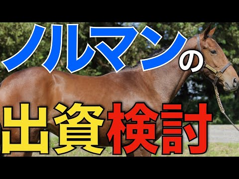 あの名種牡馬を持つ最後のチャンス！？ノルマンディーの出資馬検討会。