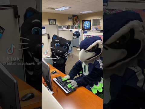 NFL Mascot Why They Not Have Bring The Cat To Work At Office And Leave The Computer Alone