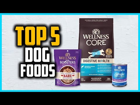 ✅Top 5 Best Dog Foods for Small Dogs in 2024