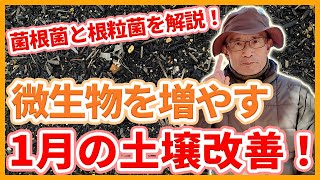 家庭菜園や農園の野菜栽培で微生物を増やす1月の土壌改善の秘訣！【農家直伝】