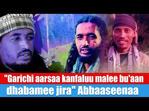 "Garichi aarsaa kanfaluu malee bu'aan dhabamee jira" Abbaaseenaa