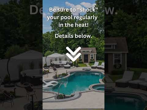 Wilfrid's Pool Tip - Pool Shock  #ingroundpool #pool #poolideas #backyard #poolparty #gunitepools