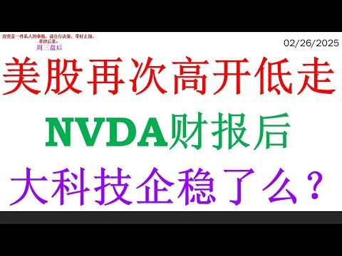 美股再次高开低走，NVDA财报后。大科技企稳了么？