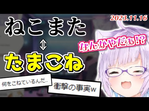 "ねこまた"を逆から読むと"たまこね"になる事を知ってしまったおかゆん【2023.11.16/ホロライブ切り抜き】