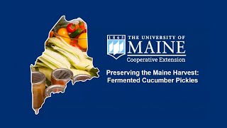 Preserving the Maine Harvest: Fermented Cucumber Pickles