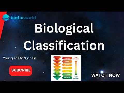 "Biological Classification Explained: A Deep Dive into the Hierarchy of Life | Biotic World"