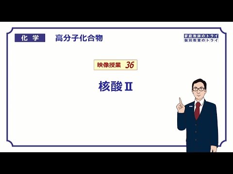 【高校化学】　高分子化合物36　核酸Ⅱ　（１１分）