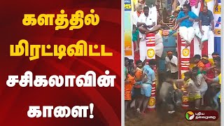 களத்தில் மிரட்டிவிட்ட சசிகலாவின் காளை! | Alanganallurjallikattu | MADURAI