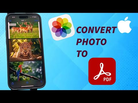 iPhone 16/16 Pro Max : How to Convert Picture to PDF on iPhone 16/16 Pro Max – Quick & Easy Guide