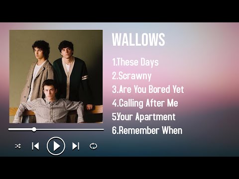 New and Best Hits of 2025 by Wallows A Compilation to Uplift Your Mood