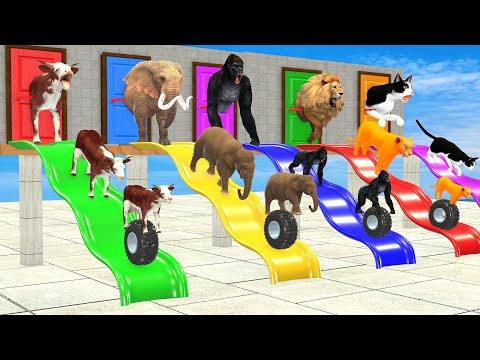 Don’t Break The Wrong Wall with LONG SLIDE Elephant, Cow, Lion, Gorilla, Cat Wild Animals Door Game