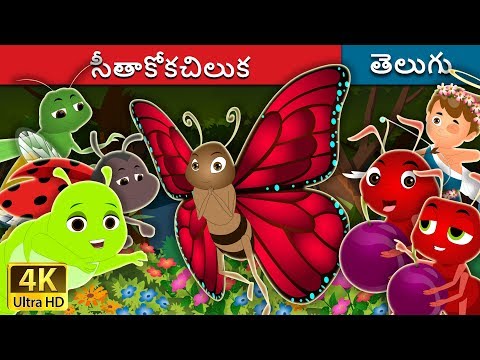 శీతాకోకచిలుక | The Butterfly Story | Telugu Stories | Telugu Fairy Tales