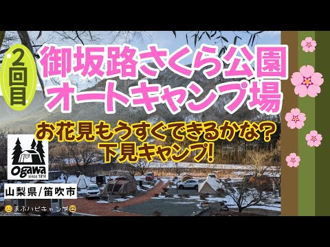 【山梨県/笛吹市】御坂路さくら公園オートキャンプ場（2回目）豚しゃぶ/クロック・マダム/フルーツサンド/ピザ/串揚げ #まふハピキャンプ