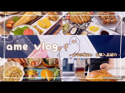 【主婦vlog】手足口病でした👶🏻日々のおうちごはんと購入品紹介🛍️/食事記録🍽️ 【日常vlog/主婦の1日/料理/cooking】