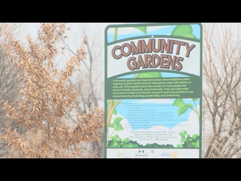 How community gardens could help cut some costs amid looming tariffs