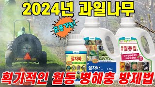 2024년 과일나무 병해충 밀도 줄이는 석회유황합제, 기계유유제 대체제로 쉽게 치는 방법 (대유 잘자바, 대유 월동킬)