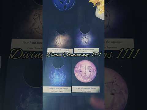 New Moon Reading🌙for All Signs🔮#newmoon #shortsvideo #viralvideo #february #tarotshorts #tarot #yt