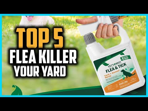 ✅Top 5 Best Flea Killer For Your Yard in 2025