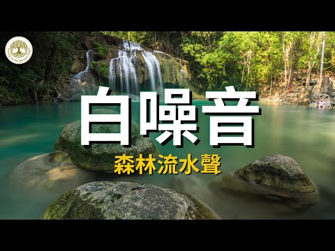 [白噪音] 森林流水聲 | 快速進入冥想狀態 | 學習、工作、幫助睡眠、提高創造力學習、專注、療癒 、冥想、放鬆 | #白噪音 #流水聲 #冥想音樂 #睡眠 #學習 #療癒