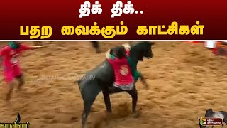 திக் திக்.. பதற வைக்கும் காட்சிகள் | Alanganallurjallikattu | MADURAI