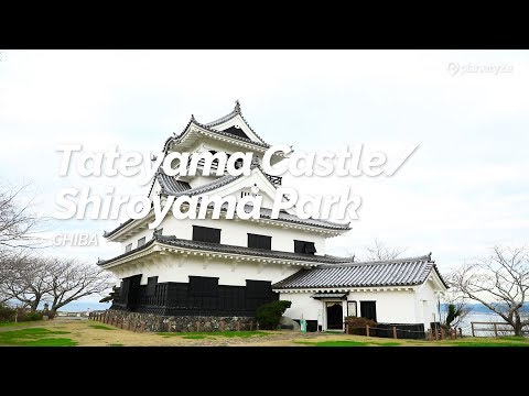 Tateyama Castle/Shiroyama Park, Chiba | Japan Travel Guide