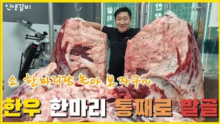 한우 암소 한마리를 혼자서 통째로 발골 (갈비까지 풀작업) | Korea a cow | Amazing knife skills! Korean