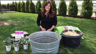 Planting Strawberries in Containers for Beginners! 🍓🤤// Garden Answer