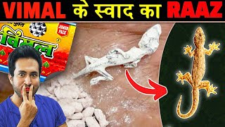 कैसे कारखानों में VIMAL का मसाला बनता है | How Vimal & Sanitary Napkins Are Made in Factories