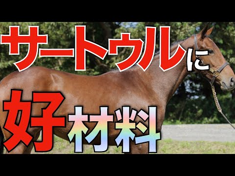 新種牡馬サートゥルナーリアに好材料！あの母父と相性が良さそう。