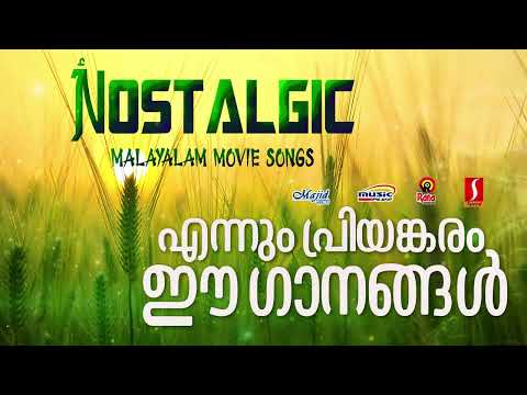 എന്നും പ്രിയങ്കരം ഈഗാനങ്ങൾ| KJ Yesudas | Janaki | Sujatha | Sreenivas | Nostalgic malayalam songs