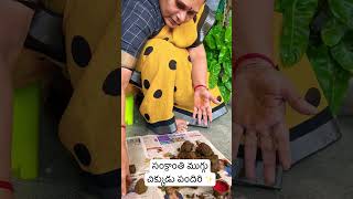 సంక్రాంతి ముగ్గు చిక్కుడు పందిరి, sankranthi muggu #sankranthi #sankranthimuggulu #sankranthispecial