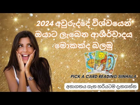 2024 අවුරුද්දේ විශ්වයෙන් ඔයාට ලැබෙන'ආශීර්වාදය මොකක්ද බලමු ✨Sinhala Tarot Reading